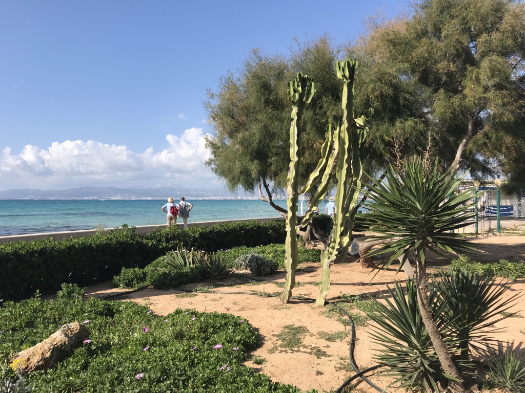 Playa de Palma 4