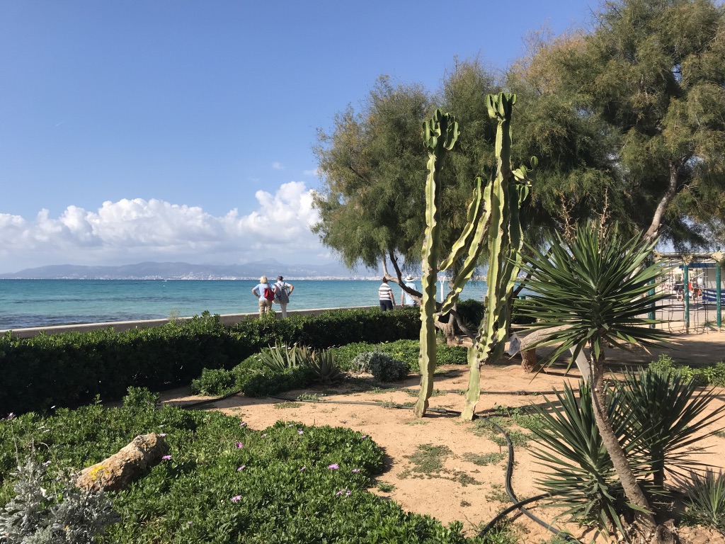 Playa de Palma 11