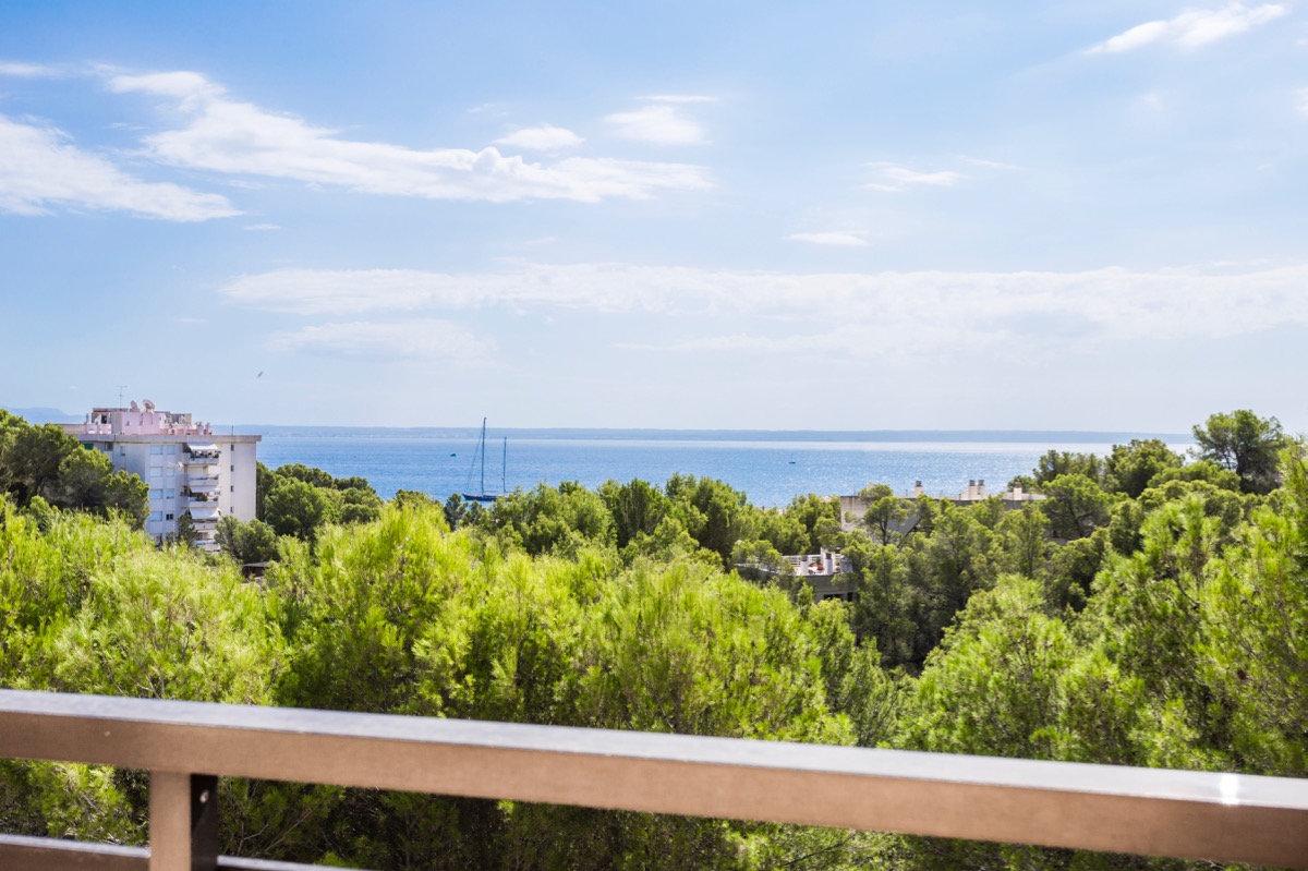 Living area: 248 m² Bedrooms: 3  - Penthouse in Cas Catala #12186 - 1