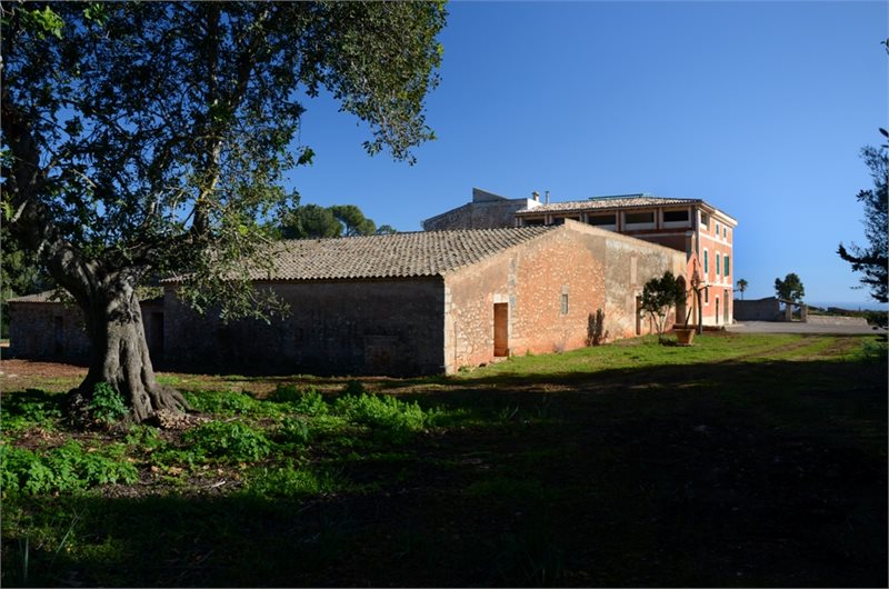 Sovrum: 6  - Finca i Cala Antena #46669 - 7