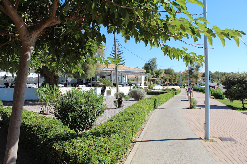 Arta/Betlem/Colonia San Pedro/Canyamel 47