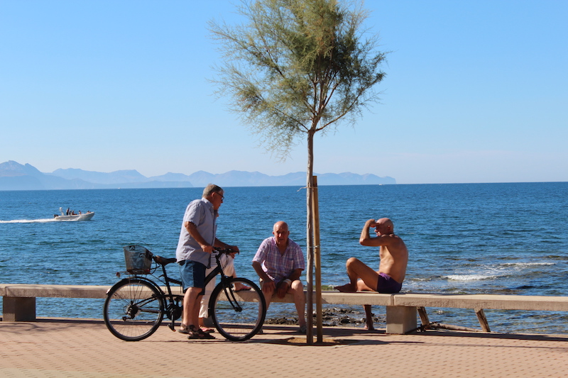 Arta/Betlem/Colonia San Pedro/Canyamel 5