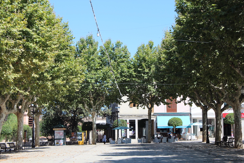 Arta/Betlem/Colonia San Pedro/Canyamel 13