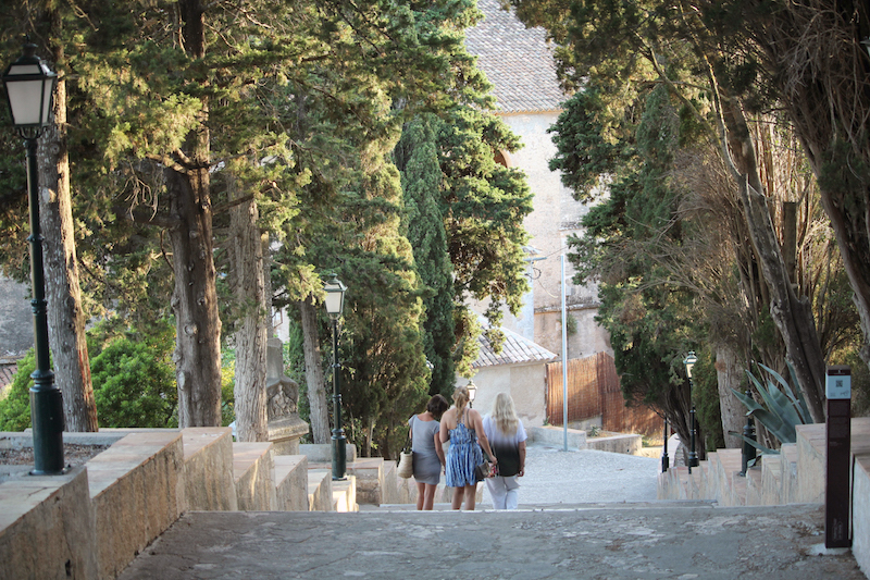 Arta/Betlem/Colonia San Pedro/Canyamel 14