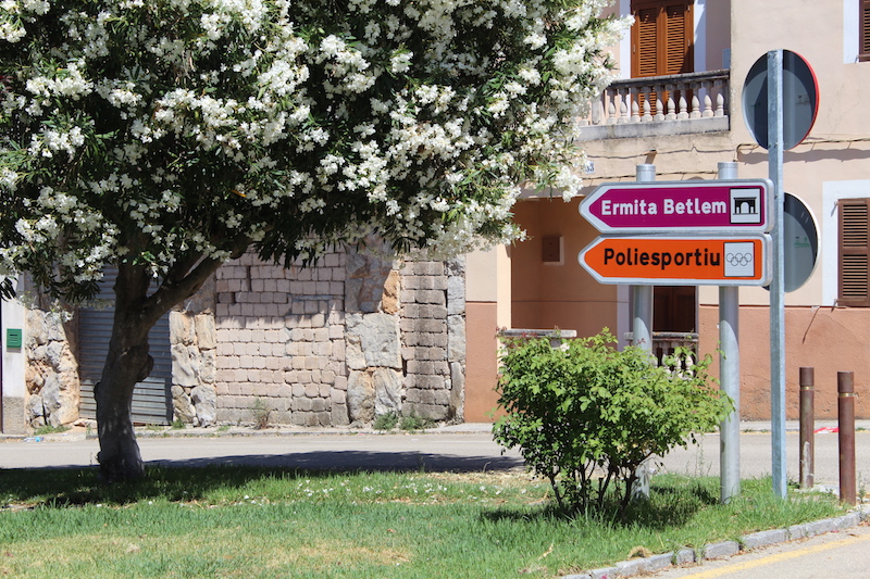 Arta/Betlem/Colonia San Pedro/Canyamel 15