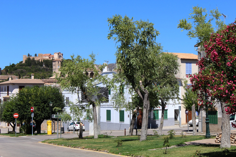 Arta/Betlem/Colonia San Pedro/Canyamel 17