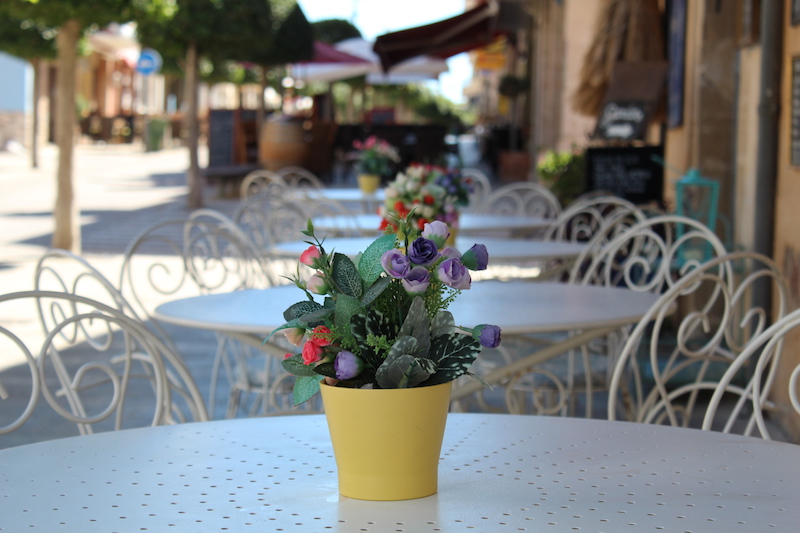 Arta/Betlem/Colonia San Pedro/Canyamel 21