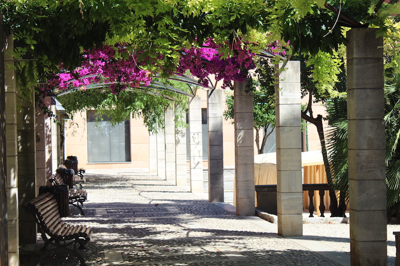 Arta/Betlem/Colonia San Pedro/Canyamel 26