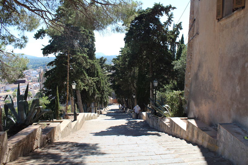 Arta/Betlem/Colonia San Pedro/Canyamel 28