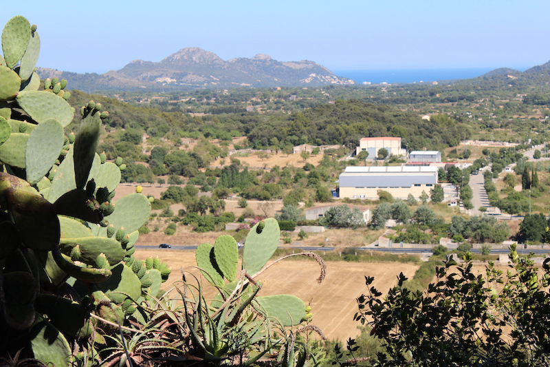 Arta/Betlem/Colonia San Pedro/Canyamel 35