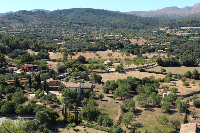 Arta/Betlem/Colonia San Pedro/Canyamel 59