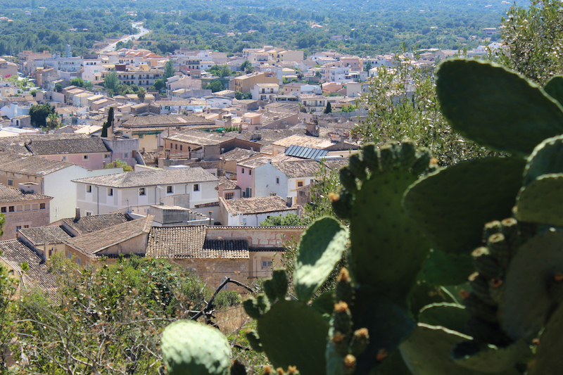 Arta/Betlem/Colonia San Pedro/Canyamel 66