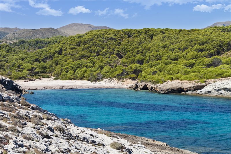 Arta/Betlem/Colonia San Pedro/Canyamel 76