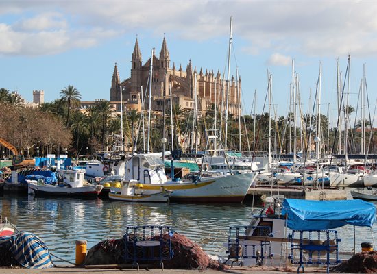 Palma