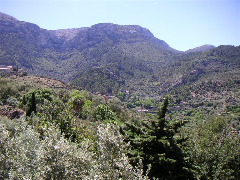 Boyta: 350 m² Sovrum: 4  - Villa i Deia #08683 - 19