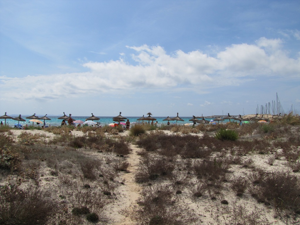 Sa Rapita/Colonia de San Jordi 11