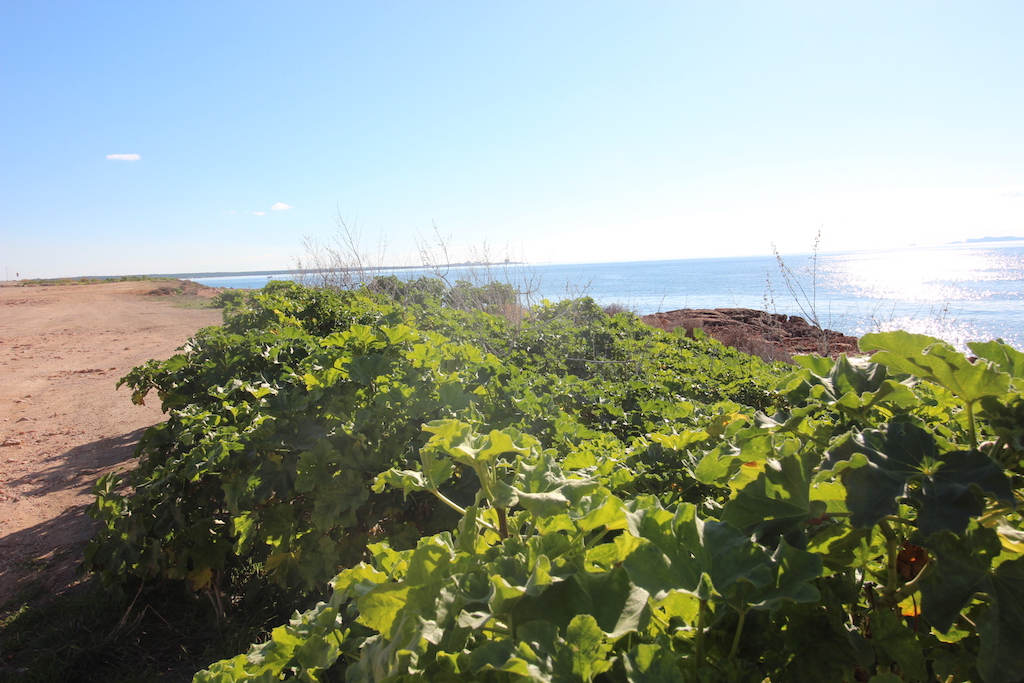 Sa Rapita/Colonia de San Jordi 17