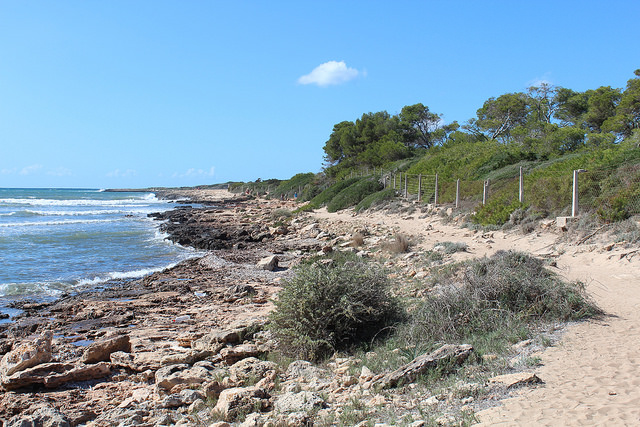 Sa Rapita/Colonia de San Jordi 35