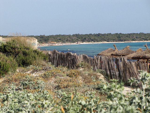 Sa Rapita/Colonia de San Jordi 40