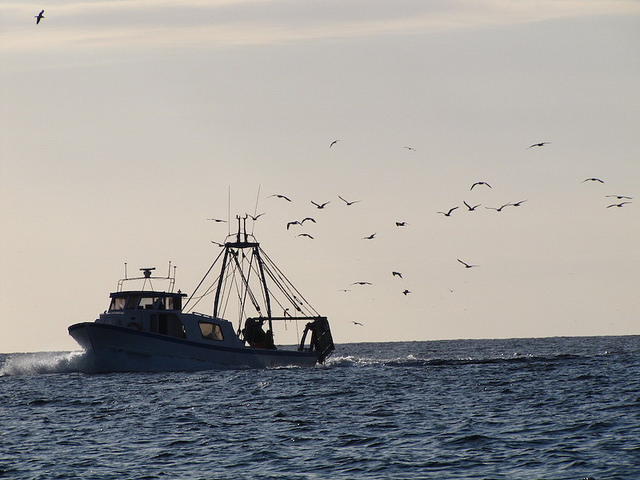 Sa Rapita/Colonia de San Jordi 46