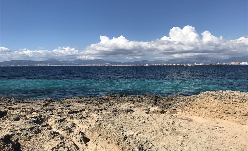 Playa de Palma 17