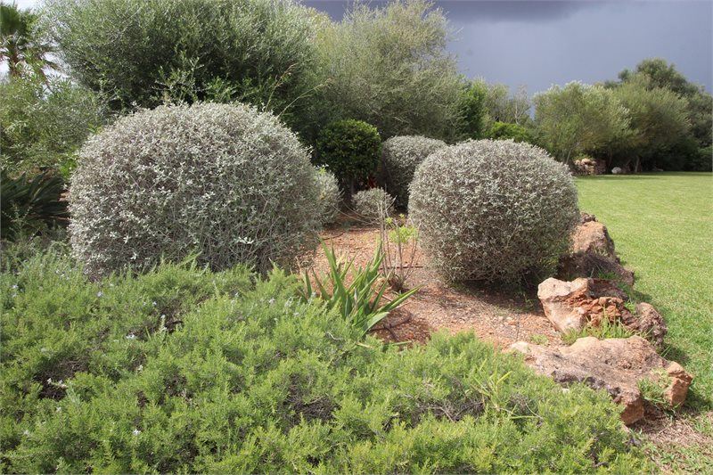 Boyta: 250 m² Sovrum: 3  - Finca i Felanitx/Porto Colom #51324 - 20