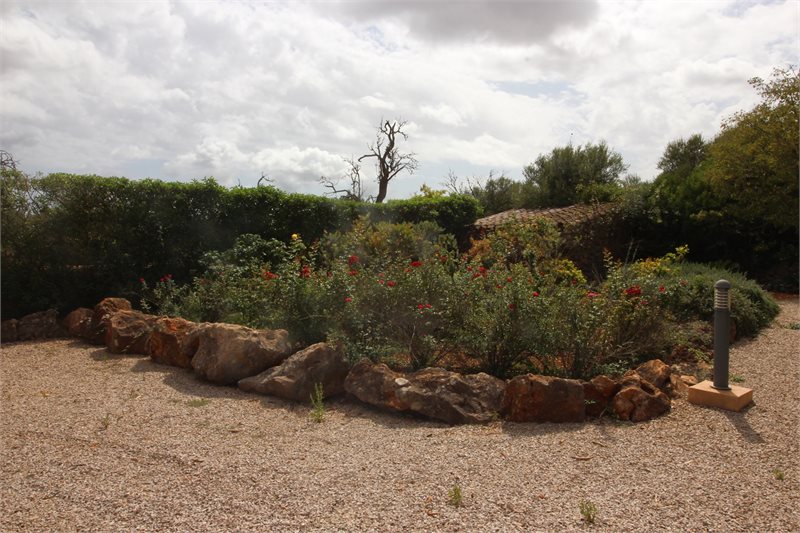 Boyta: 250 m² Sovrum: 3  - Finca i Felanitx/Porto Colom #51324 - 19
