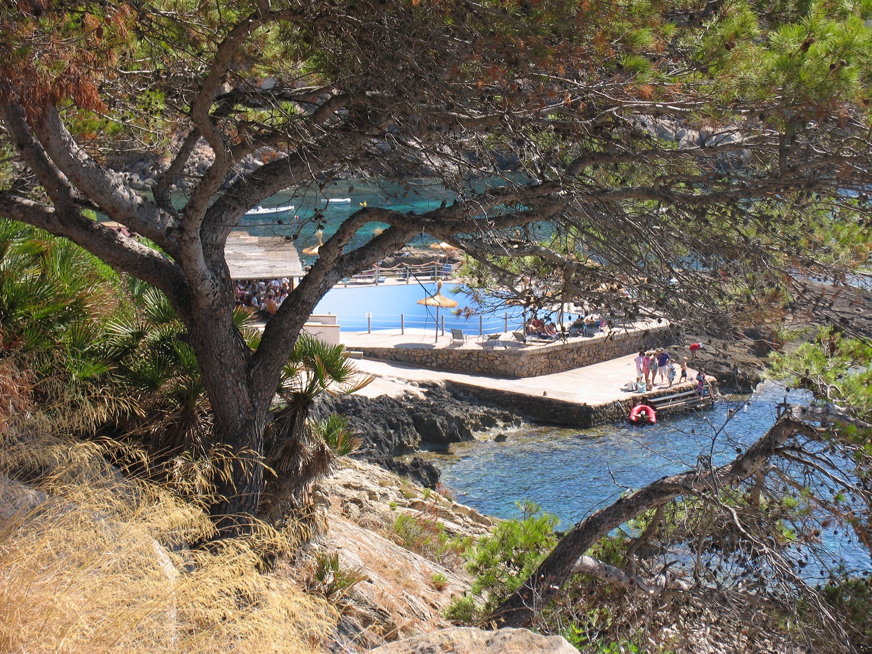 San Telmo/S'Arraco 22