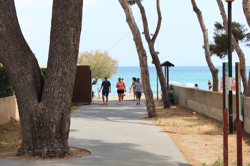 Arta/Betlem/Colonia San Pedro/Canyamel 86