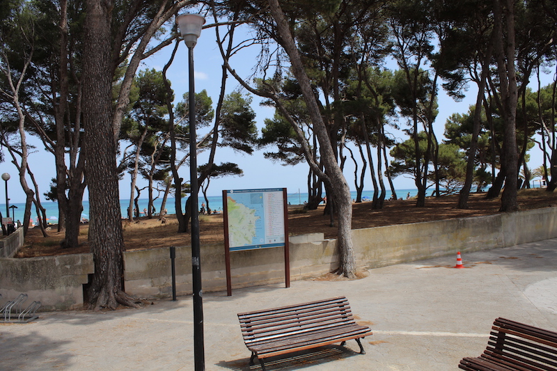 Arta/Betlem/Colonia San Pedro/Canyamel 89