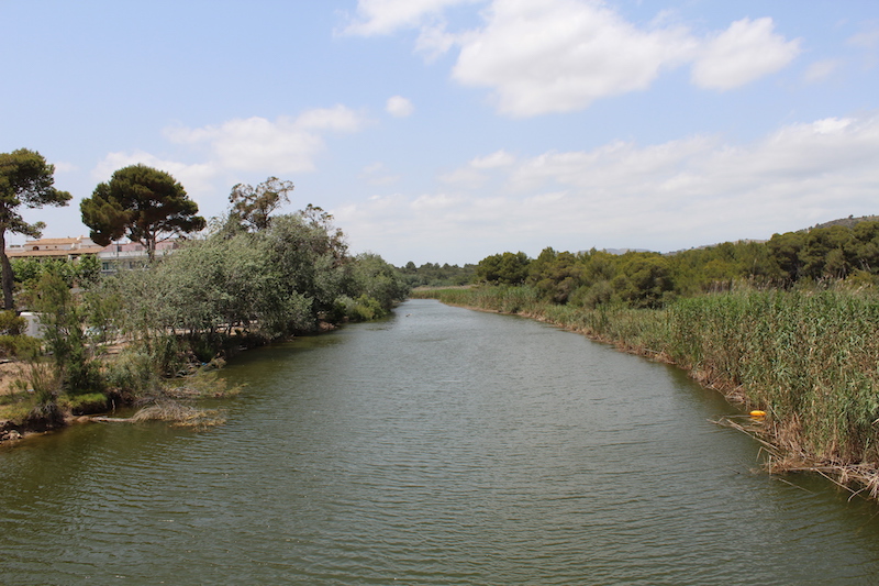 Arta/Betlem/Colonia San Pedro/Canyamel 90