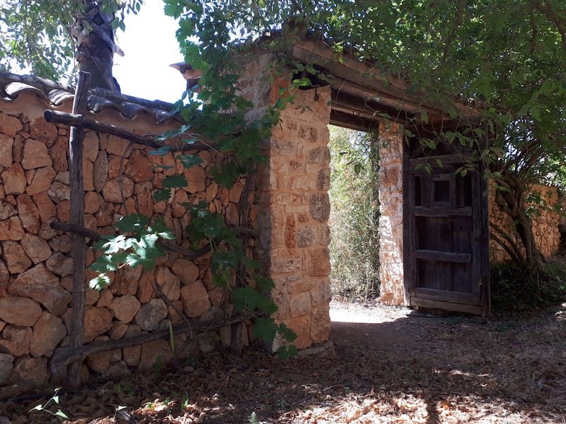 Boyta: 600 m² Sovrum: 4  - Villa i Felanitx/Son Negre/Porto Colom #51154 - 3