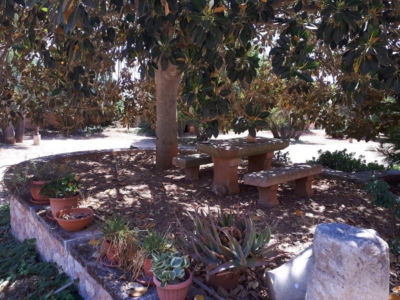 Boyta: 600 m² Sovrum: 4  - Villa i Felanitx/Son Negre/Porto Colom #51154 - 14