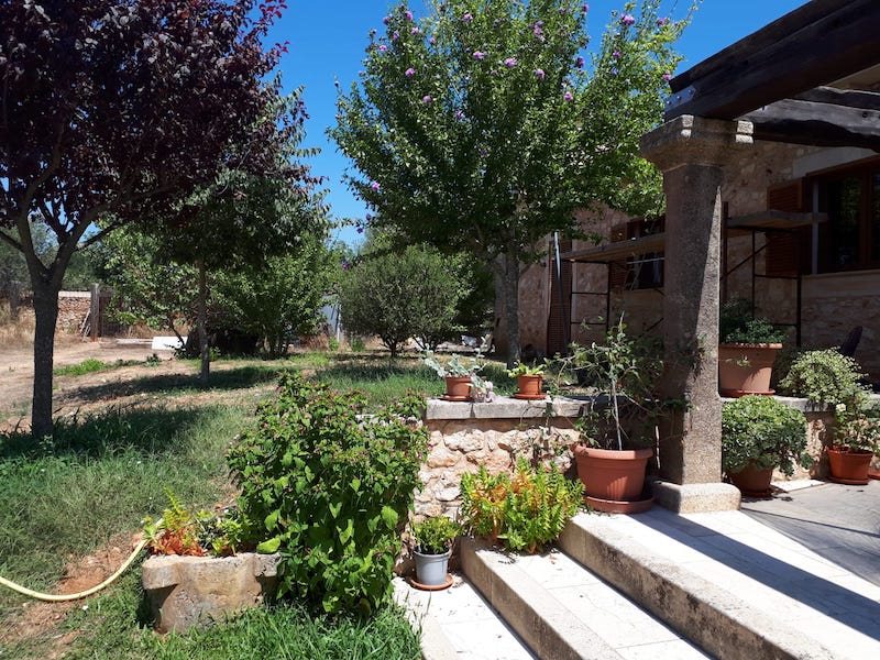 Boyta: 600 m² Sovrum: 4  - Villa i Felanitx/Son Negre/Porto Colom #51154 - 4