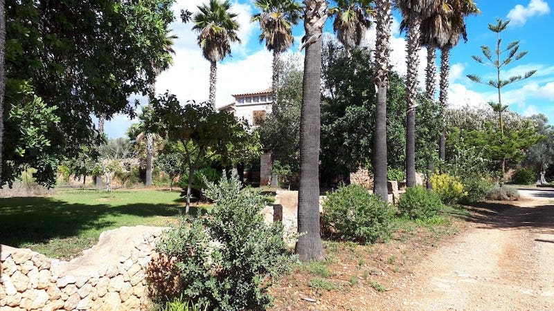 Boyta: 600 m² Sovrum: 4  - Villa i Felanitx/Son Negre/Porto Colom #51154 - 1