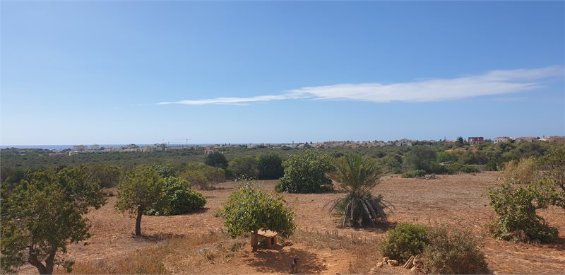 Living area: 341 m² Bedrooms: 3  - Finca in Porto Colom #51203 - 2