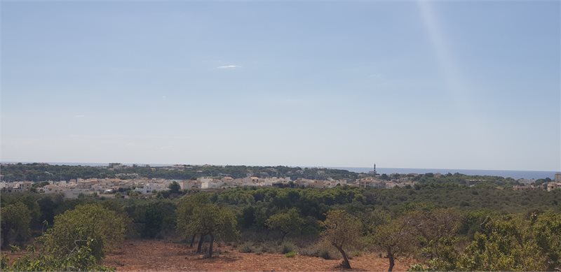 Boyta: 341 m² Sovrum: 3  - Finca i Porto Colom #51203 - 3