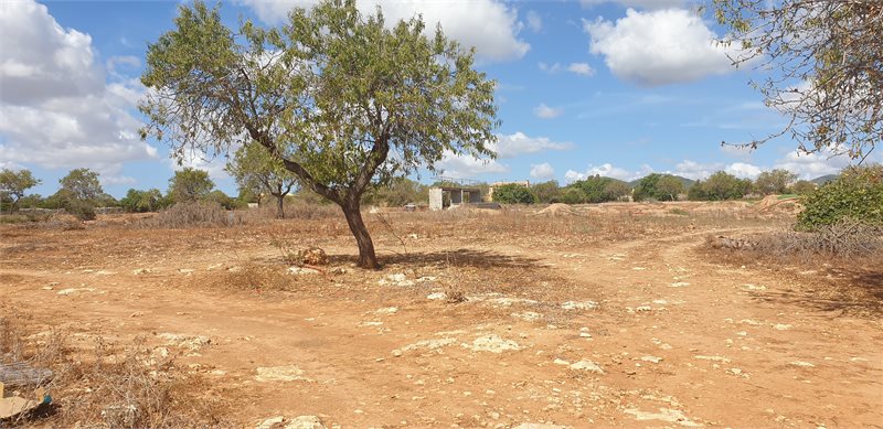 Boyta: 341 m² Sovrum: 3  - Finca i Porto Colom #51203 - 4