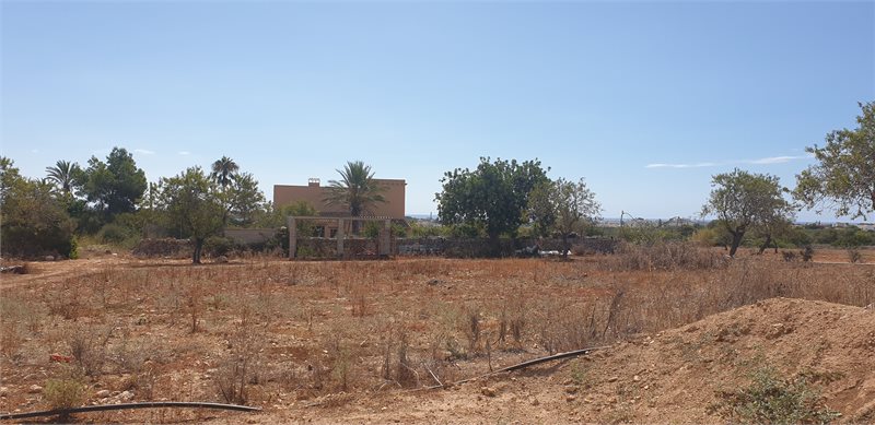 Boyta: 341 m² Sovrum: 3  - Finca i Porto Colom #51203 - 5