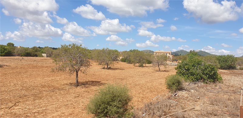 Boyta: 341 m² Sovrum: 3  - Finca i Porto Colom #51203 - 8