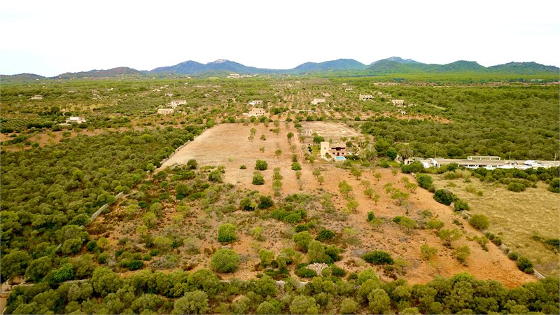 Boyta: 341 m² Sovrum: 3  - Finca i Porto Colom #51203 - 11