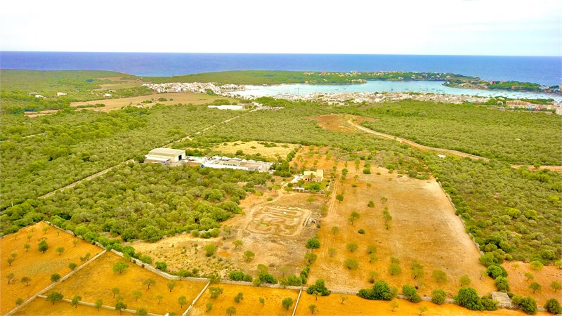 Boyta: 341 m² Sovrum: 3  - Finca i Porto Colom #51203 - 13
