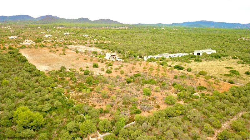 Boyta: 341 m² Sovrum: 3  - Finca i Porto Colom #51203 - 14