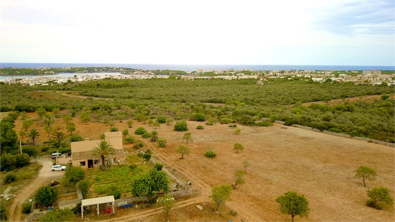 Boyta: 341 m² Sovrum: 3  - Finca i Porto Colom #51203 - 15