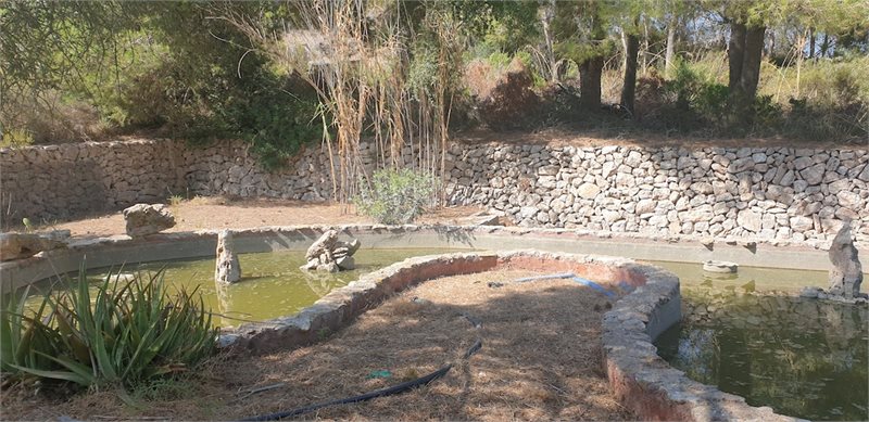 Boyta: 278 m² Sovrum: 3  - Finca i Porto Colom #51110 - 9