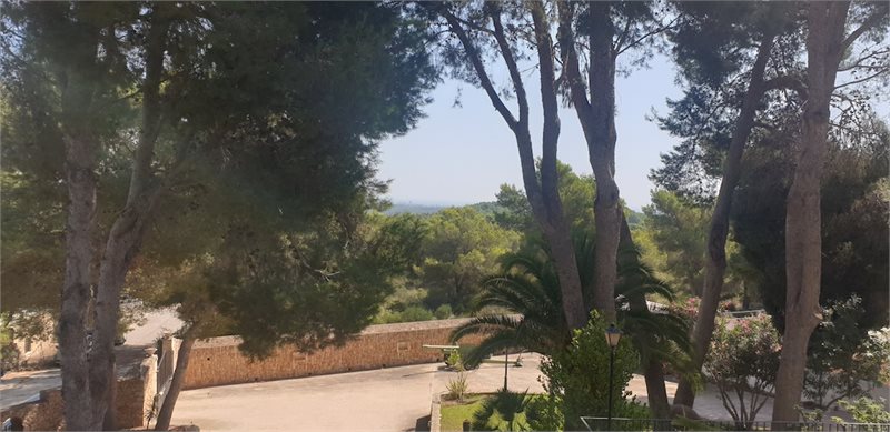 Boyta: 278 m² Sovrum: 3  - Finca i Porto Colom #51110 - 16