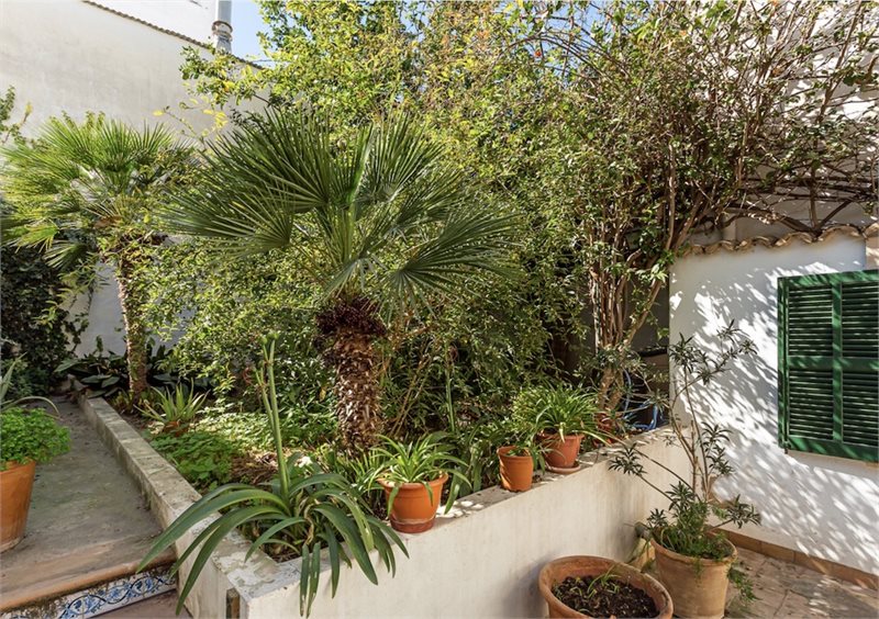 Boyta: 220 m² Sovrum: 8  - Townhouse i Santa Catalina #12384 - 6