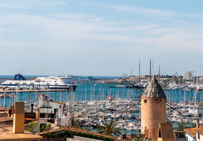 Boyta: 165 m² Sovrum: 2  - Loft lägenhet i Palma, Santa Catalina #2121000 - 4