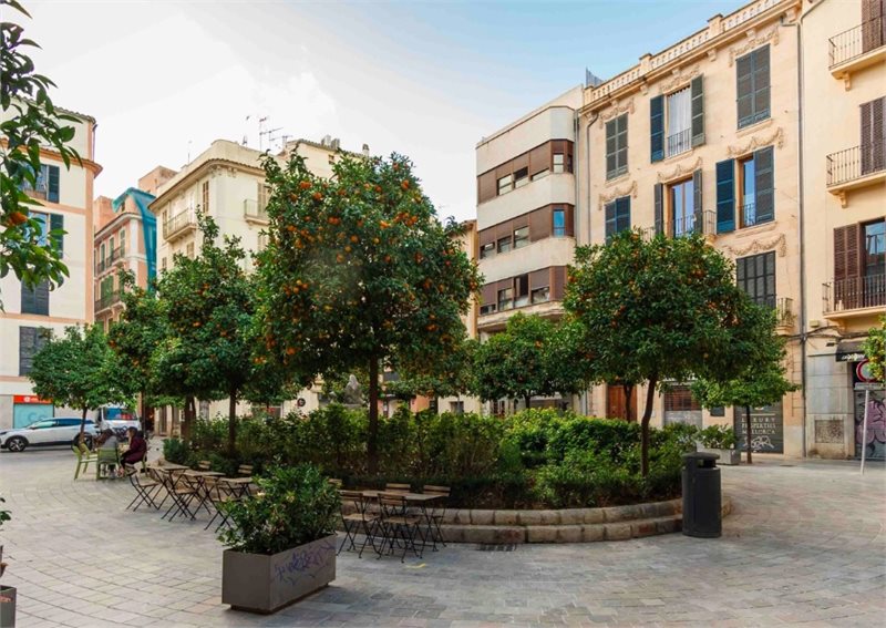 Sovrum: 2  - Fantastisk renoverad penthouse med privat terrass i Palma Old Town #2121114 - 7