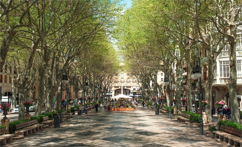 Boyta: 105 m² Sovrum: 3  - Nyproducerade lägenheter mitt i Palma #1121190 - 14